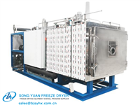 GZLYZ 30-50 medical type vacuum freeze dryer